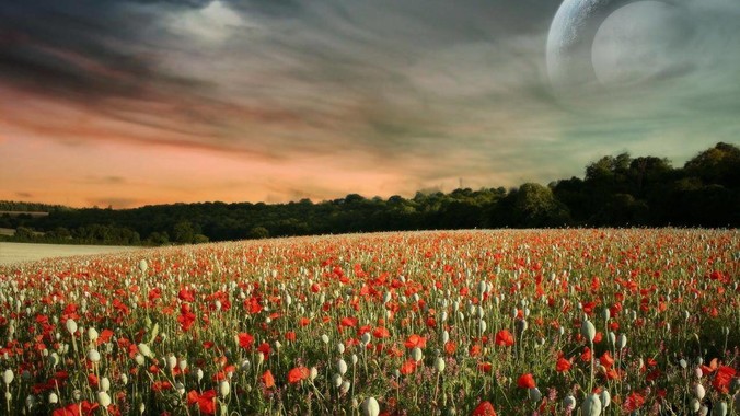 男子蛋糕被小女孩踩坏，上前理论还被其家长辱骂殴打，如果发生这种事情有比***里当事人更好的处理方法吗？